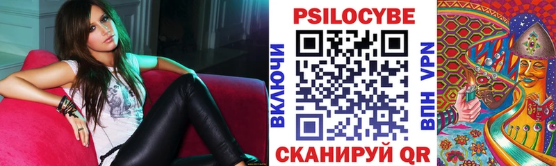 omg маркетплейс  Андреаполь  Псилоцибиновые грибы Magic Shrooms 